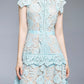 Lace lavi dress